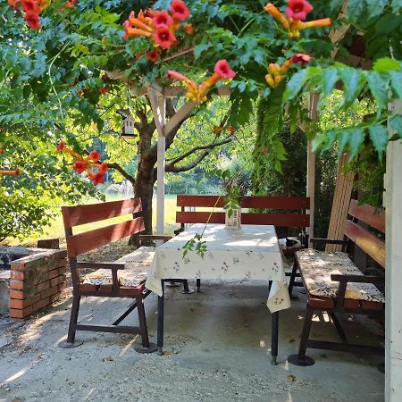 Fertodi Kuria Vendeghaz Hotel Ngoại thất bức ảnh