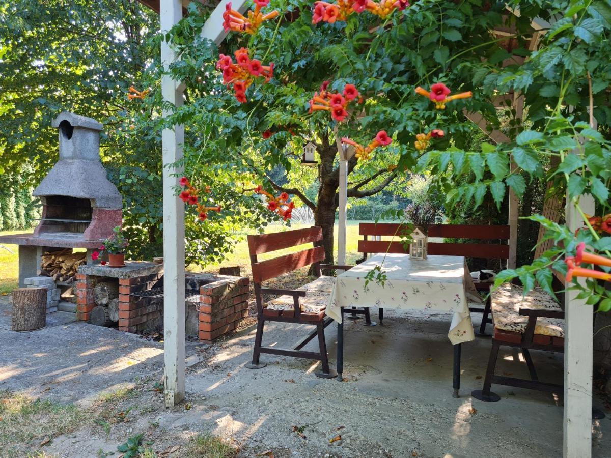 Fertodi Kuria Vendeghaz Hotel Ngoại thất bức ảnh